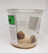 TruBlu Supply 1 32oz Fresh Large Chinese Ootheca Praying Mantis Egg Plus + Crystal Clear Incubator Cup Hatching Habitat