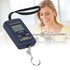 Portable Electronic Scale Mini 40kg-10g with Hanging Hook WH-A01L