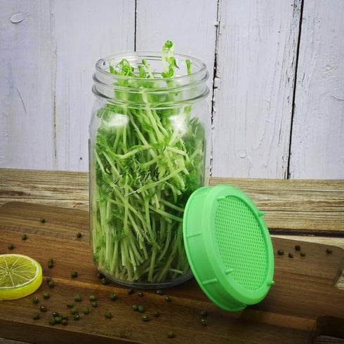 12 Pack Plastic Sprouting Lids for 86mm Wide Mouth Mason Jars, Sprouting Strainer Lid for Canning Jars