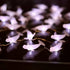30 10ft Ocean Theme White Beluga Whale Fairy String Lights, Nautical Dcor Cute Dolphin Decorative Lights Sea Canaries