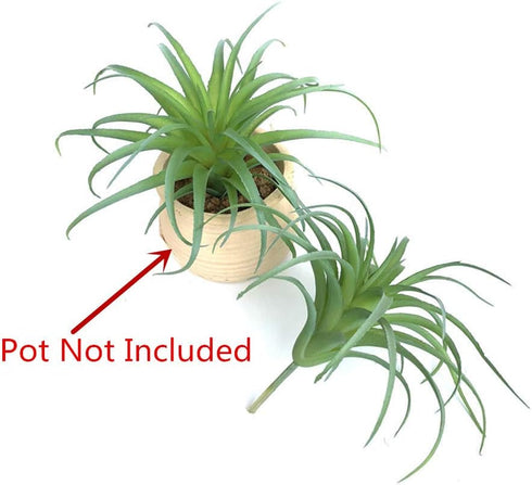 2 PCS Artificial Succulents Plants Unpotted Fake Tillandsia Air Plants for DIY Garden Decor Home Decoration Greenery Set