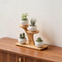 Generic 3 Bamboo Plant Stand - Tier Window Plant Shelf for Indoor Plants | Wooden Flower Stand & Tabletop Plant Holder