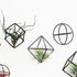 6 ZOOELAY Small Air Plant Holders Stand Black Airplants Rack Planters Metal Air Fern Plant Display Cage Geometric
