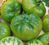 Cherokee Green Heirloom Tomato Seeds - Large Tomato - Most Delicious of