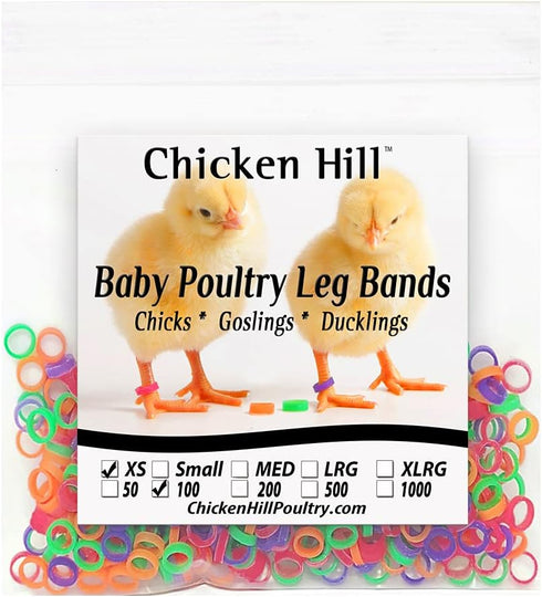 Chicken Hill Baby Poultry Leg Bands Size 2 - XSmall Day Old