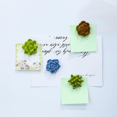 Plant Pattern 3D Resin Succulent Fridge Magnets, Set of 8 White Board Magnets for Home Office Display