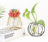 Nordic Small Clear Glass Vase, Metal Geometric Iron Line Cup Pot for Hydroponic Flowers, Modern Home Décor