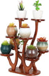 9 Tiers Small Windowsill Plant Shelf Indoor,Bamboo Succulent Plant Stand for Desk,Multi-Layered