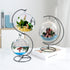 Ornament Display Stand - Iron Hanging Stand for Air Plants, Flower Pots, Christmas Ornaments, Home Wedding Decoration