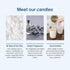 CE Craft - Smells Like Draco Scented Candle, Apple + Mahogany, Gift for Her, Celebrity Prayer Candle