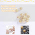 Haokixin 100 Packaging PCS Chocolate Holder,Clear Balls Acrylic Chocolate Box Holder,Chocolate Candy Holder