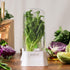 Eco-Friendly Prepara Herb Savor Pod - White/Green