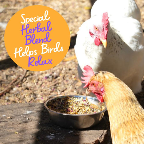 100% 7 1lb. Happy Trees Chicken Nesting Herbs - Natural Blend of Premium Dried Herbs for Fresh Nest Box, Coop and Run