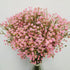Bringsine Baby Breath Gypsophila Deco, Pink Colour Artificial Flowers, 40 Pieces/lot
