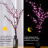 2 Pack 13ft Battery Operated String Lights Indoor, Cherry Blossom Bedroom Lights, Color Changing Flower Lights