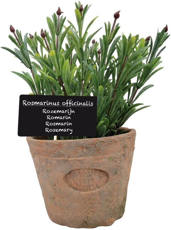 Esschert Design Artificial Herb Plant, Rosemary, Large
