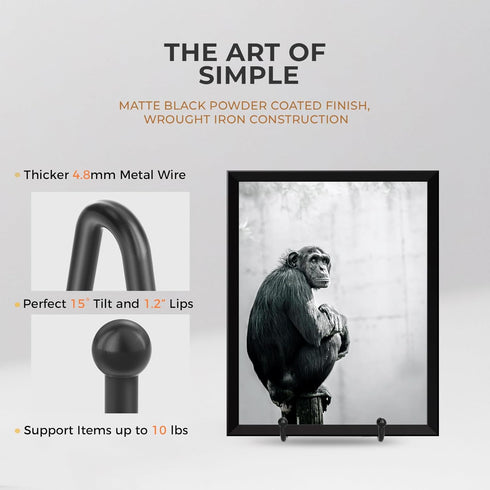TR-LIFE Plate Stands for Display - 4.5 Inch Plate Holder Display Stand + Metal Frame Holder Stand for Picture,