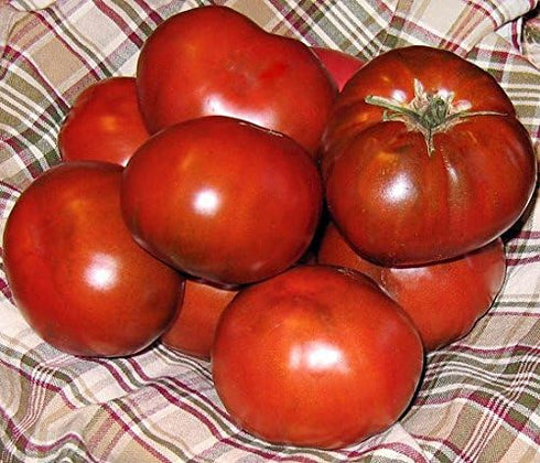 Harley Seeds 30 Paul Robeson Tomato Seeds, Heirloom Non-GMO, Low Acid, Indeterminate, Open-Pollinated, Rich Flavor