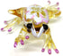 Frog Miniature Figurines 3" Color Glass Art Collectible Gift Decorate (Yellow Purple)