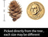 Deloky 150 Pcs Christmas Natural Mini Pine Cones - 2CM Small Pinecones for DIY Crafts, Home Decorations, Thanksgiving,