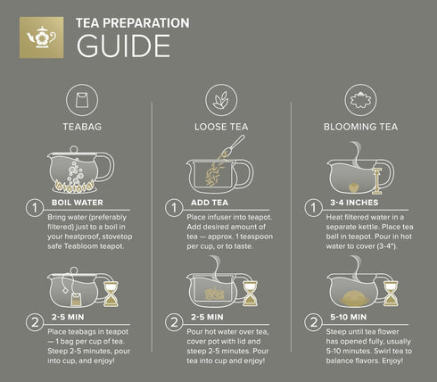 2-in-1 Teabloom Kyoto Tea Kettle and Tea Maker Glass Teapot with Removable Loose Tea Infuser Tea Connoisseur's Choice