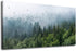 Green Forest Wall Art Tropical Forest Mountain Bird Contemporary Canvas Pictures Modern