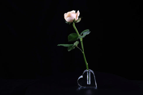 24k Rose Display Stand - Heart-Shaped Stand for Single Real Roses or Artificial Flower Base, Transparent Shelf Support
