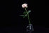 24k Rose Display Stand - Heart-Shaped Stand for Single Real Roses or Artificial Flower Base, Transparent Shelf Support