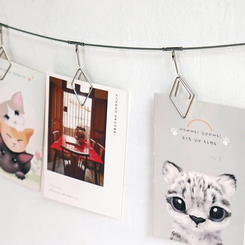 TFu Wall Hanging Photo Display, DIY Picture Frame String with 12 Clips for Photos, Notes and Artworks