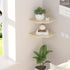JJL Set 2 Decor(14.76in Corner Shelving, of Floating Wall Shelf for Wall Organizer Storage, Easy-to-Assemble, Floating
