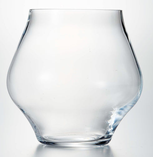 Luigi Bormioli Supremo 15.25 oz Pinot Noir Stemless Wine Glasses, Set of 2, Clear