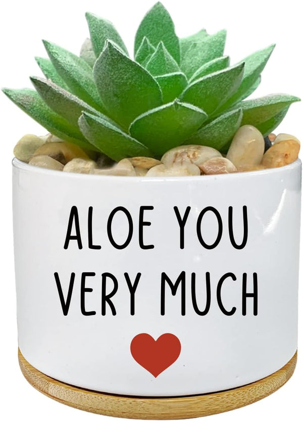 You Very Much - White Ceramic Engraved Mini Succulent Planter Pot | Funny Indoor Flower Pots for Home Office Windowsill