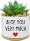You Very Much - White Ceramic Engraved Mini Succulent Planter Pot | Funny Indoor Flower Pots for Home Office Windowsill
