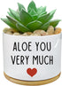You Very Much - White Ceramic Engraved Mini Succulent Planter Pot | Funny Indoor Flower Pots for Home Office Windowsill