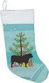 Caroline's Treasures BB9195CS Teal Black Angus Cow Christmas Stocking, Fireplace Hanging Stockings, Holiday Decor