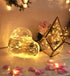 6 Pack 2PCS 6.5ft 20LED Fairy Lights Battery Operated with Timer Remote Warm White Twinkle Lights Waterproof Silver