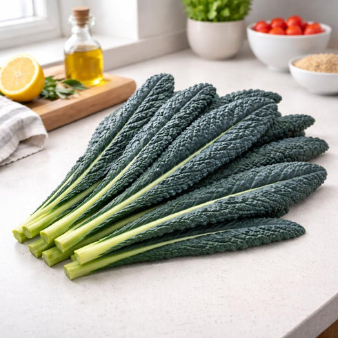 Sunutri Seeds Black Tuscan Lacinato Kale Seeds Dark Blue-Green Leaves with Upright Growth for Home Gardens, Raised Beds