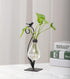 Plant Terrarium, Hydroponic Vases for Home Decoration, Modern Creative Bird Terrarium Stand, Ideal Gifts