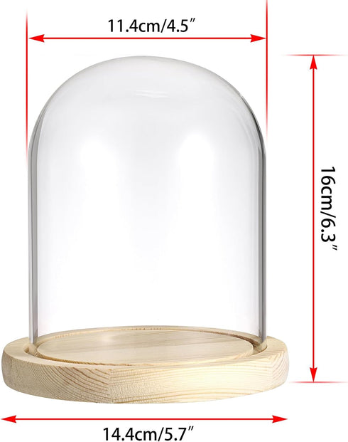 JUXYES Clear Glass Display Dome Cloche with Solid Wood Base, Transparent Dome Cloche Bell Terrarium Jar Glass Dustproof