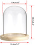 JUXYES Clear Glass Display Dome Cloche with Solid Wood Base, Transparent Dome Cloche Bell Terrarium Jar Glass Dustproof