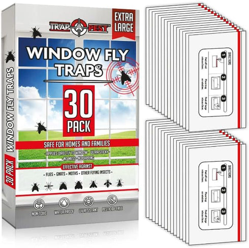 Window Fly Traps Indoor Clear (30 Pack) - Non-Toxic Sticky Fly Strips for Windows, Indoor Bug Sticky Traps