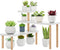 Small Plant Stand Shelf ,3 Tiers Wood Long Desktop Flower Pot Holder