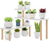 Small Plant Stand Shelf ,3 Tiers Wood Long Desktop Flower Pot Holder