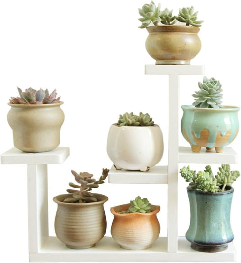 Wooden DIY Mini Tabletop Plant Stand Multi-layer Concise Desktop Planter Holder for