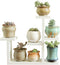 Wooden DIY Mini Tabletop Plant Stand Multi-layer Concise Desktop Planter Holder for