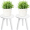 2PCS Samll Plant Stand Indoor/Outdoor for Plants,Wood White Planter Stands Holder Mid