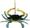 Charlotte International Dimensional Coastal Maryland Blue Crab Resin Christmas Ornament 4 Inches