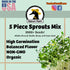 1 lb 46 Salad Style Bean Sprout Starter Seeds - Servings per Bag! - Non-GMO Organic - Sprouting Mix - Includes Alfalfa
