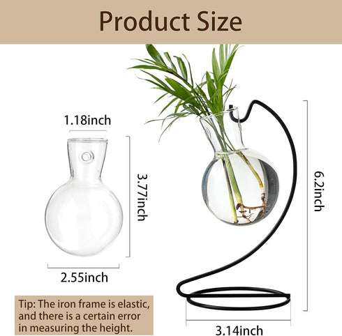 (2) Desktop Glass Plant Propagation Station with Metal Stand,Tabletop Plant Terrarium,Hydroponics Vase for Propagating