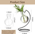 (2) Desktop Glass Plant Propagation Station with Metal Stand,Tabletop Plant Terrarium,Hydroponics Vase for Propagating